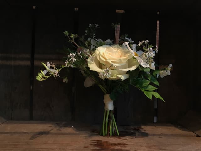 Thumbnail for vendor image