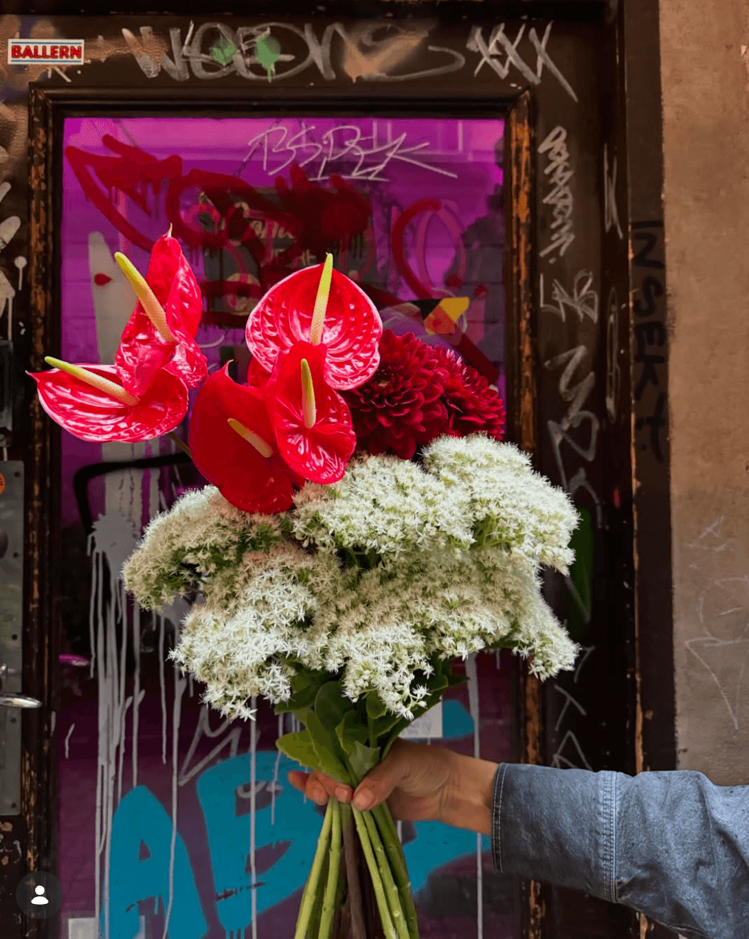 Christoffers Blommor - image 4