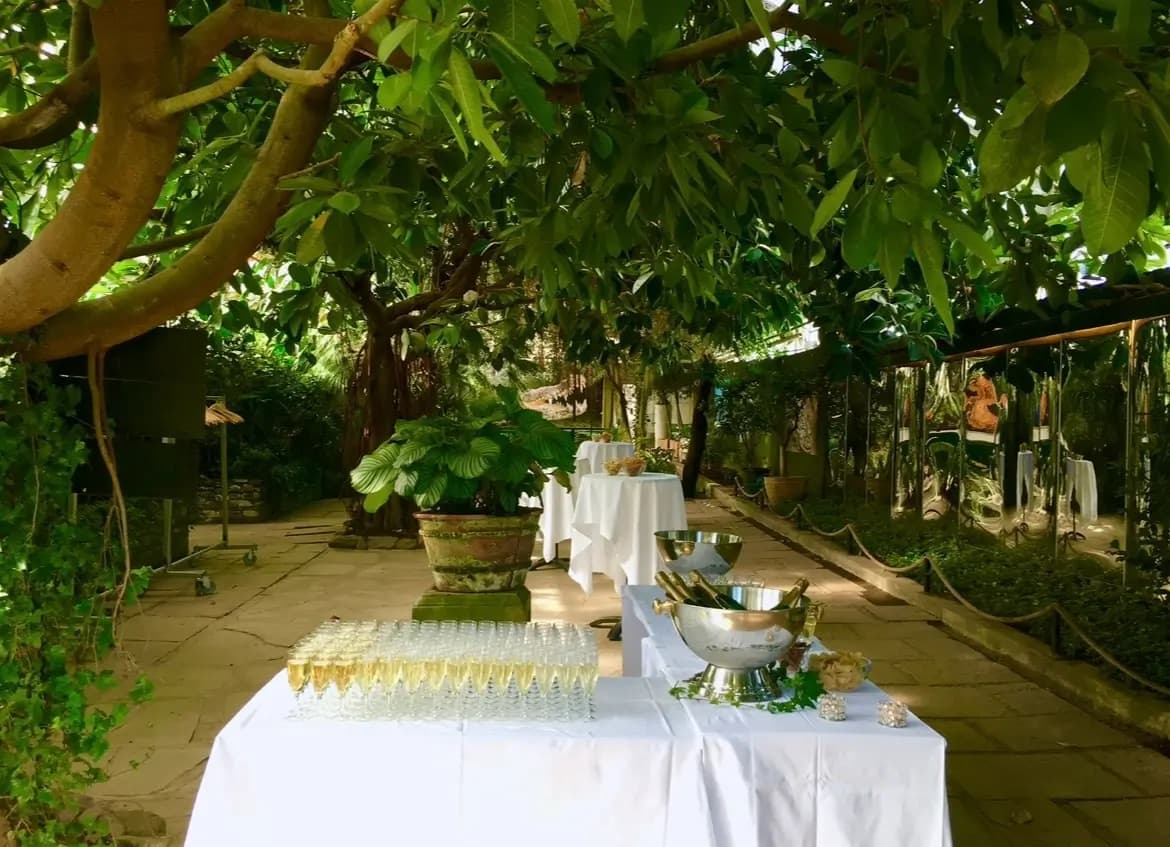 Fjärilshuset Haga Ocean - image 1