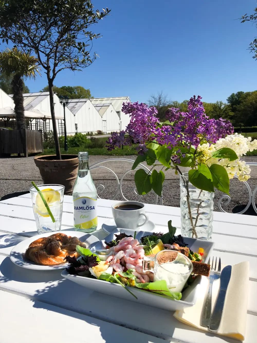 Fjärilshuset Haga Ocean - image 5