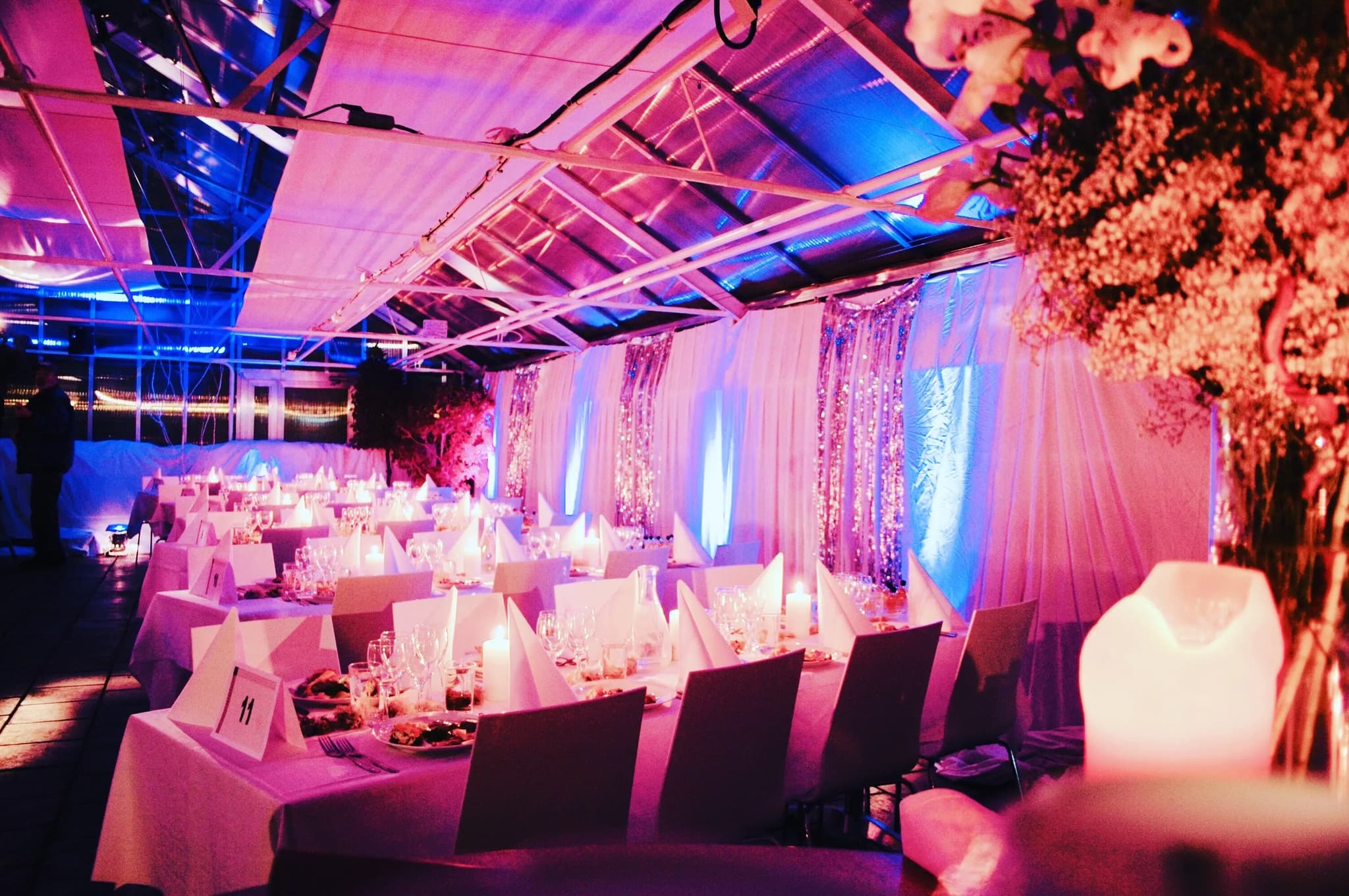 Fjärilshuset Haga Ocean - image 4