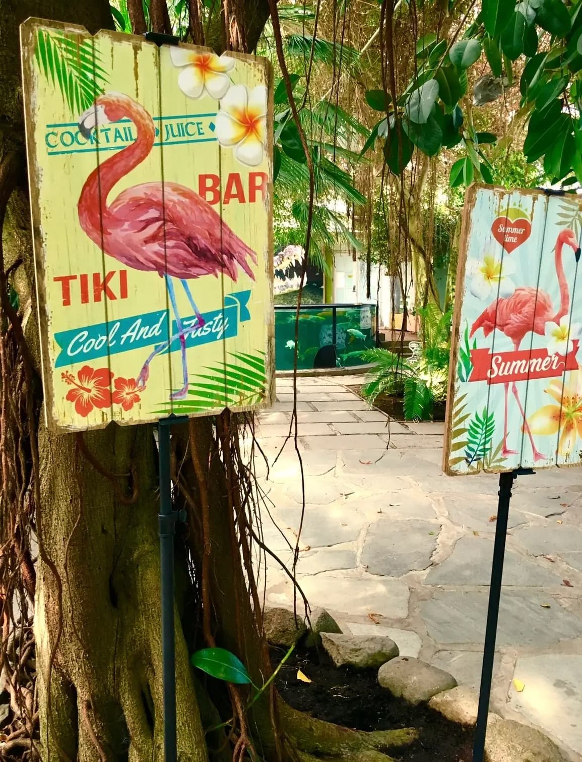 Fjärilshuset Haga Ocean - image 3