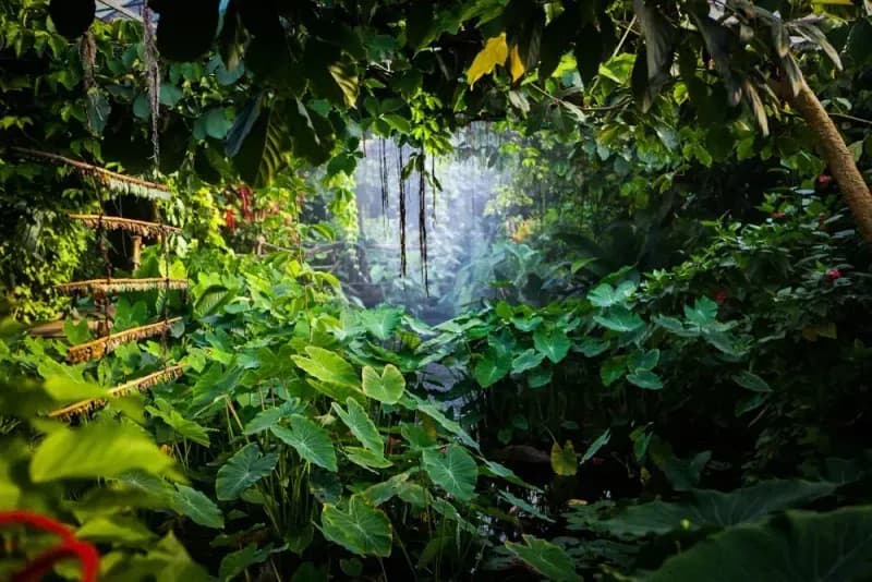 Fjärilshuset Haga Ocean - image 2